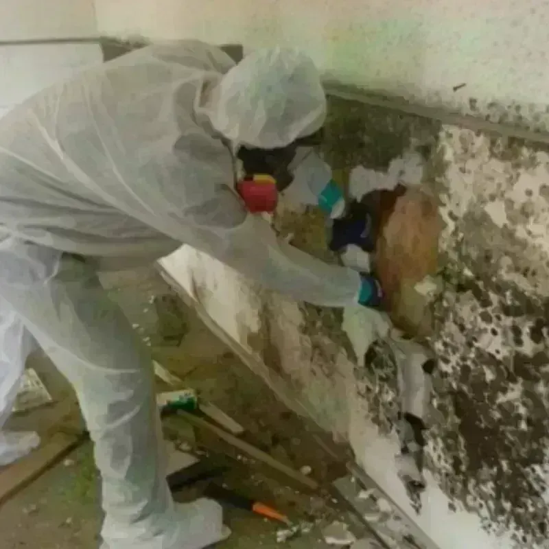 Mold Remediation and Removal in Cheshire Village, CT